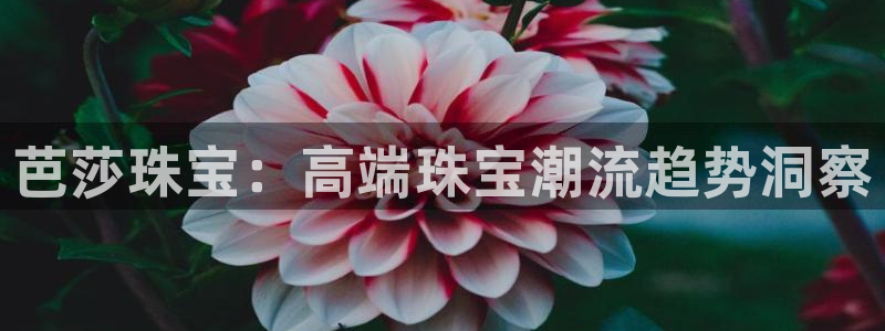 新宝5手机版登录：芭莎珠宝：高端珠宝潮流趋势洞察
