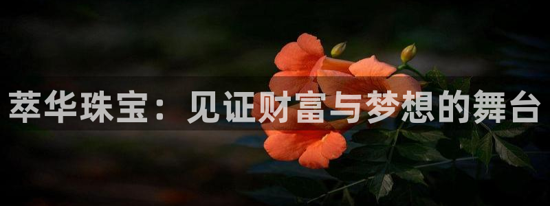 新宝5手机版：萃华珠宝：见证财富与梦想的舞台