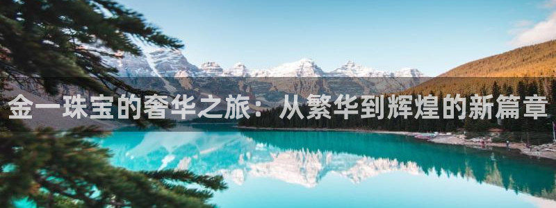 新宝5娱乐代理