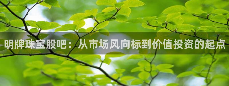 新宝5骗术：明牌珠宝股吧：从市场风向标到价值投资的起点