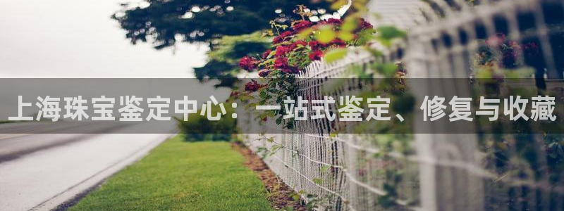 新宝股东王听2 5 5：上海珠宝鉴定中心：一站式鉴定、修复与收藏