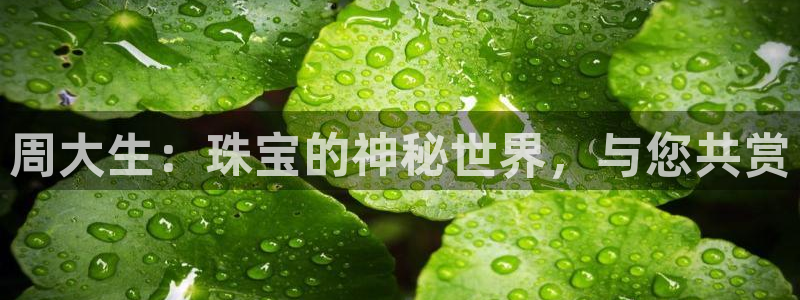 新宝5日740005蔻：周大生：珠宝的神秘世界，与您共赏
