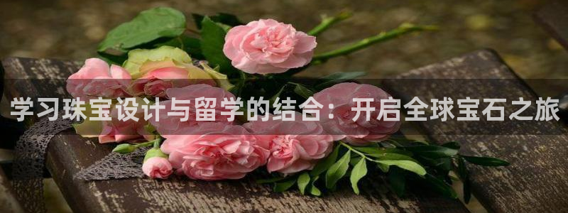 新宝5挂机：学习珠宝设计与留学的结合：开启全球宝石之旅