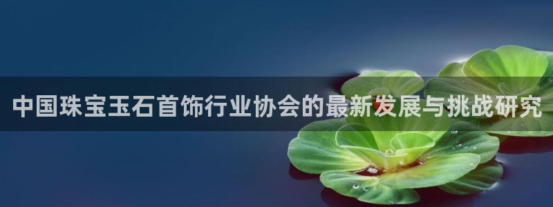 新宝5平台注册资金：中国珠宝玉石首饰行业协会的最新发展与挑战研究