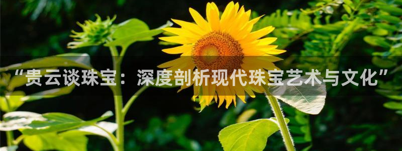 新宝5如何下载：“贵云谈珠宝：深度剖析现代珠宝艺术与文化”