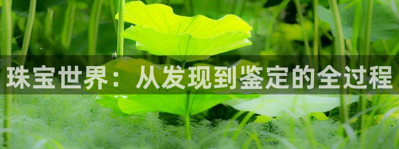 新宝5账号注册：珠宝世界：从发现到鉴定的全过程