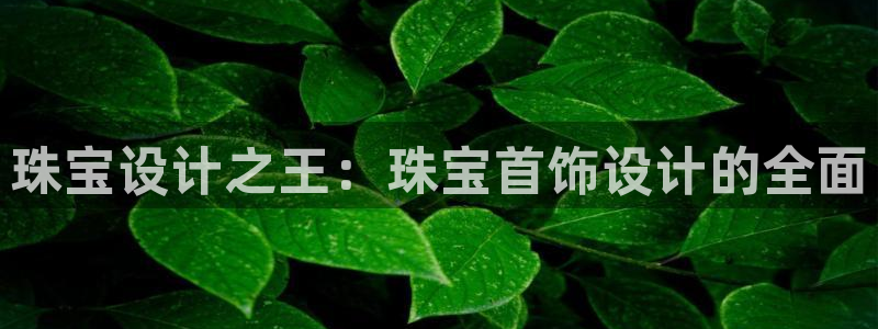 新宝5口67五壹叁八：珠宝设计之王：珠宝首饰设计的全面