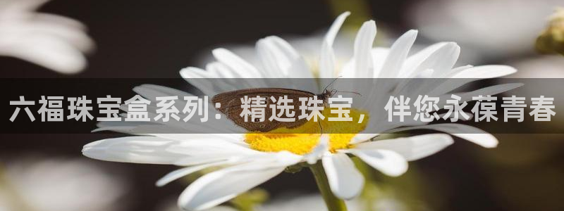 新宝5平台：六福珠宝盒系列：精选珠宝，伴您永葆青春