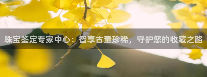 新宝5娱乐方：珠宝鉴定专家中心：智享古董珍稀，守护您的收藏之路