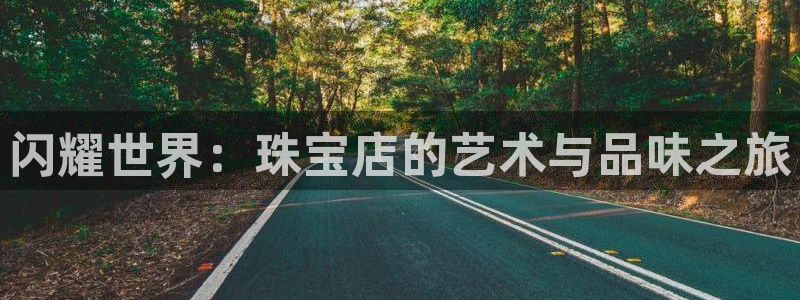 新宝5怎么代理：闪耀世界：珠宝店的艺术与品味之旅