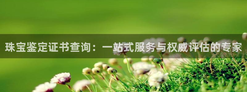 新宝_5：珠宝鉴定证书查询：一站式服务与权威评估的专家