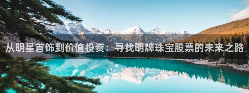 新宝rc_5w：从明星首饰到价值投资：寻找明牌珠宝股票的未来之路