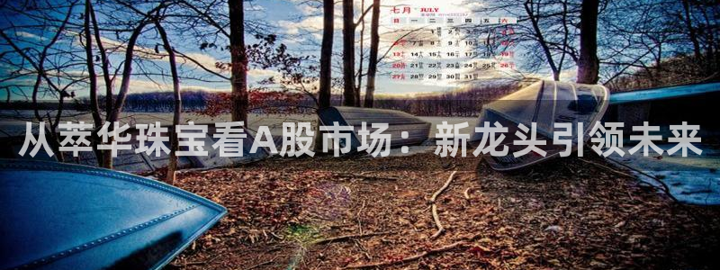 新宝5娱乐多：从萃华珠宝看A股市场：新龙头引领未来