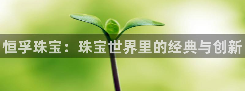 新宝5上70 667：恒孚珠宝：珠宝世界里的经典与创新