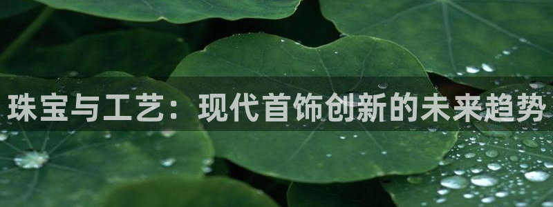 5新宝：珠宝与工艺：现代首饰创新的未来趋势