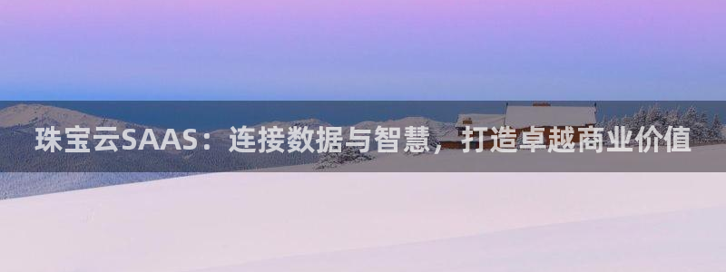 新宝j2O5O5O：珠宝云SAAS：连接数据与智慧，打造卓越商业价值