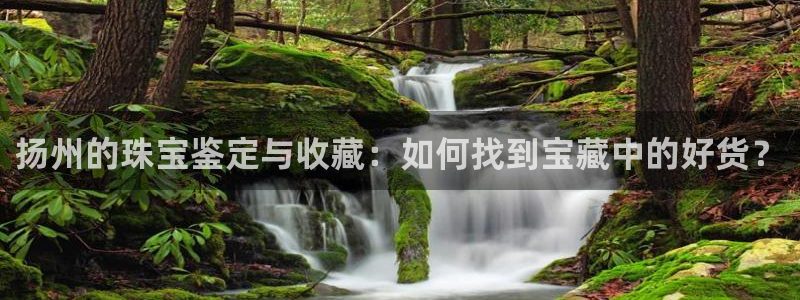 新宝5_测：扬州的珠宝鉴定与收藏：如何找到宝藏中的好货？