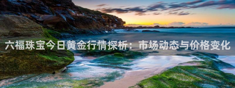 新宝5为啥开：六福珠宝今日黄金行情探析：市场动态与价格变化