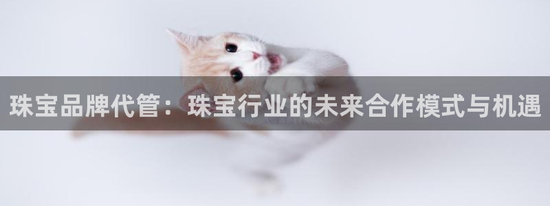 新宝5 注册：珠宝品牌代管：珠宝行业的未来合作模式与机遇
