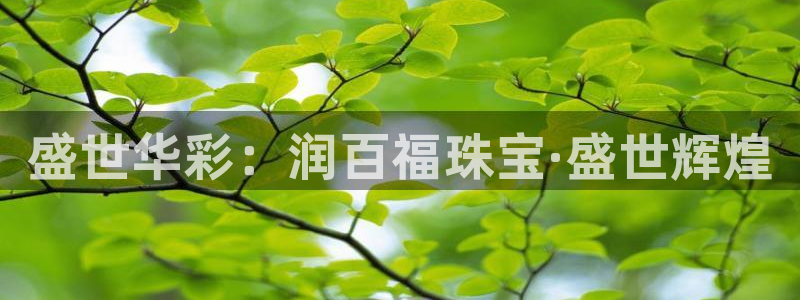 新宝j2O5O5O：盛世华彩：润百福珠宝·盛世辉煌