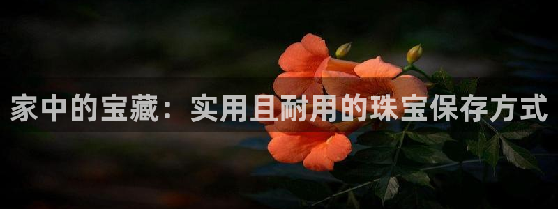 新宝5球维33 300：家中的宝藏：实用且耐用的珠宝保存方式