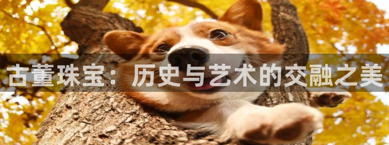 新宝5彩票平台登陆：古董珠宝：历史与艺术的交融之美