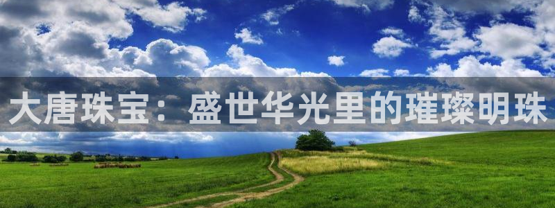 新宝5测试：大唐珠宝：盛世华光里的璀璨明珠