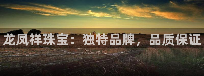 新宝5下载到桌面：龙凤祥珠宝：独特品牌，品质保证