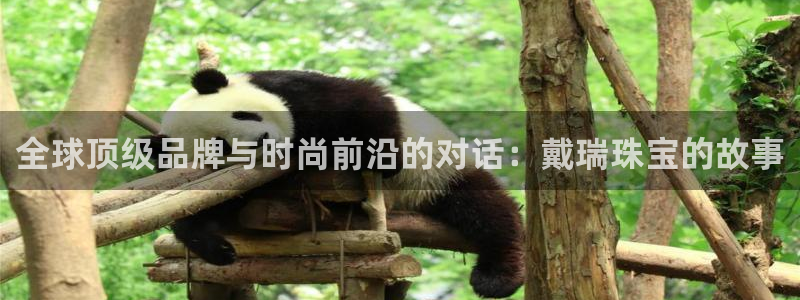 新宝娱乐5：全球顶级品牌与时尚前沿的对话：戴瑞珠宝的故事