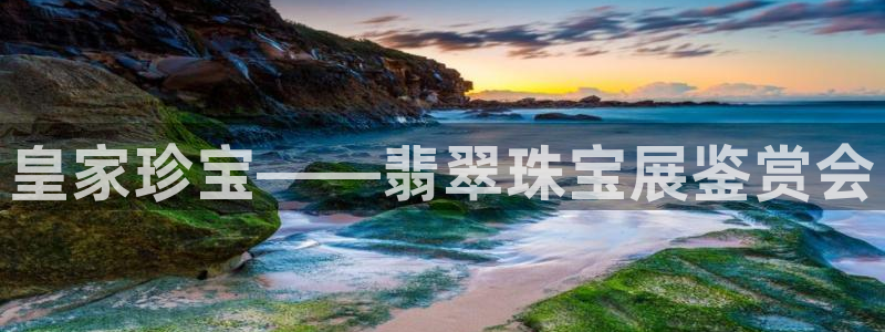 新宝5日：皇家珍宝——翡翠珠宝展鉴赏会