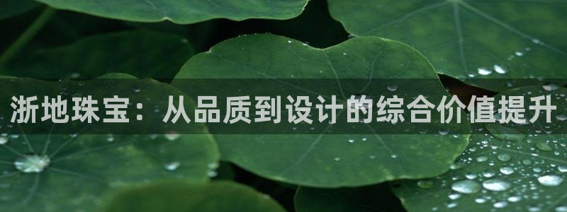 新宝5登录注册：浙地珠宝：从品质到设计的综合价值提升