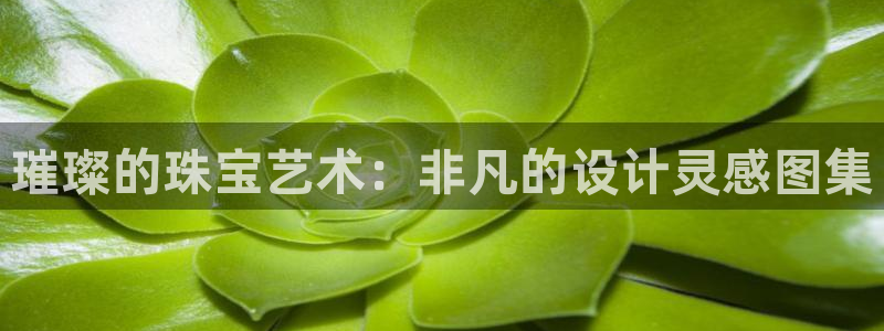 新宝5 测速：璀璨的珠宝艺术：非凡的设计灵感图集