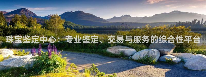 新宝5登录入口网址：珠宝鉴定中心：专业鉴定、交易与服务的综合性平台