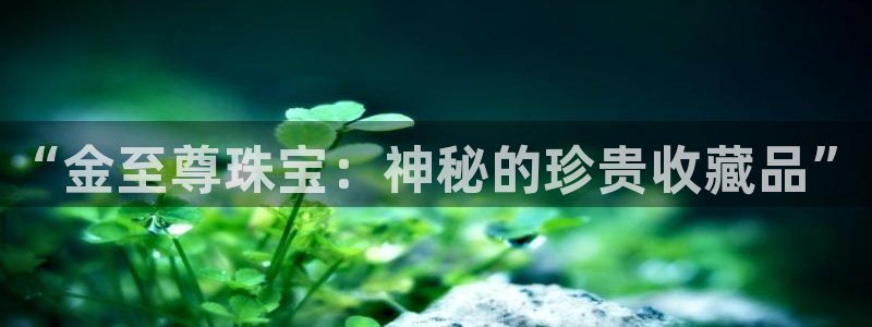 新宝rm5：“金至尊珠宝：神秘的珍贵收藏品”