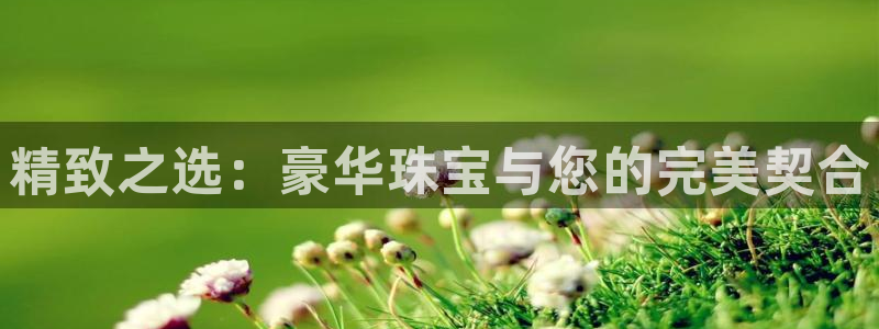 新宝5蒋7O667：精致之选：豪华珠宝与您的完美契合