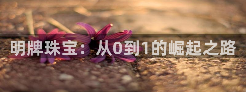 新宝5登录不了：明牌珠宝：从0到1的崛起之路