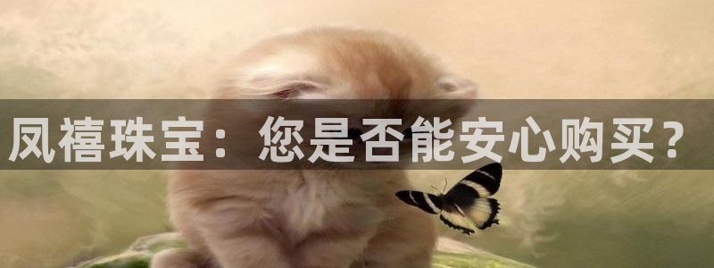 新宝5导师：凤禧珠宝：您是否能安心购买？