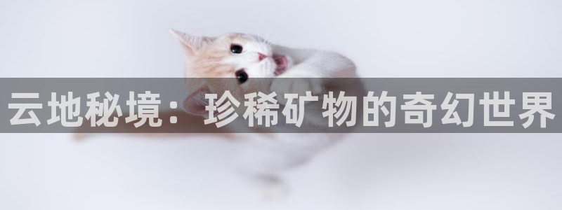 新宝奇迹GG5：云地秘境：珍稀矿物的奇幻世界