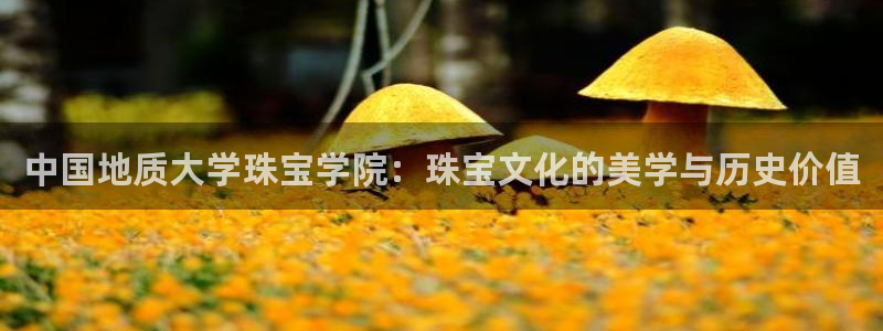 新宝5寂创33300散：中国地质大学珠宝学院：珠宝文化的美学与历史价值