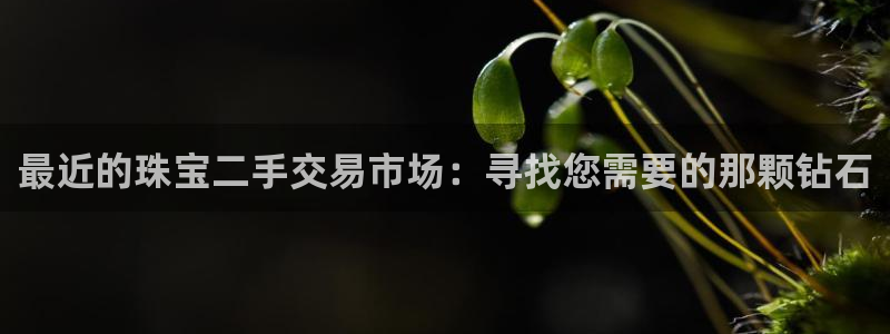 新宝5平台注册：最近的珠宝二手交易市场：寻找您需要的那颗钻石