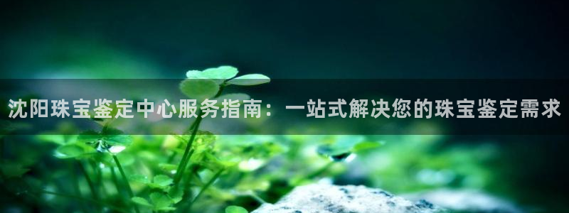 新宝5是什么：沈阳珠宝鉴定中心服务指南：一站式解决您的珠宝鉴定需求