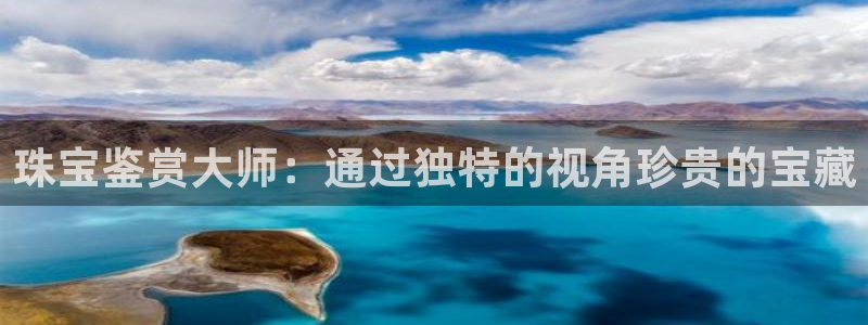 新宝h2O5O5O：珠宝鉴赏大师：通过独特的视角珍贵的宝藏