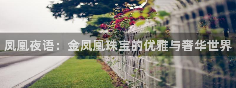 新宝5台卡：凤凰夜语：金凤凰珠宝的优雅与奢华世界