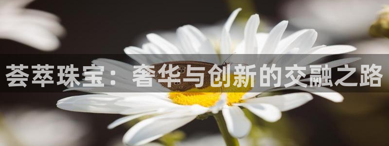 新宝rc_5w：荟萃珠宝：奢华与创新的交融之路