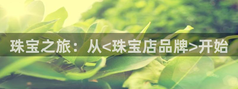 新宝5登录入口网址：珠宝之旅：从<珠宝店品牌>开始