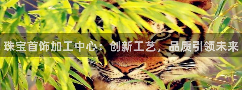 新宝5账号注册：珠宝首饰加工中心：创新工艺，品质引领未来