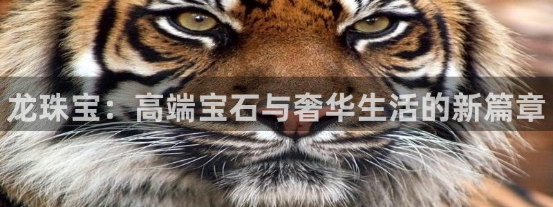 新宝5是谁：龙珠宝：高端宝石与奢华生活的新篇章