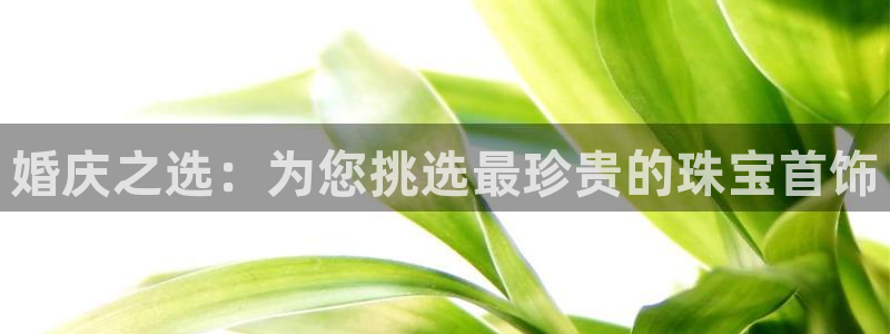 新宝5app：婚庆之选：为您挑选最珍贵的珠宝首饰
