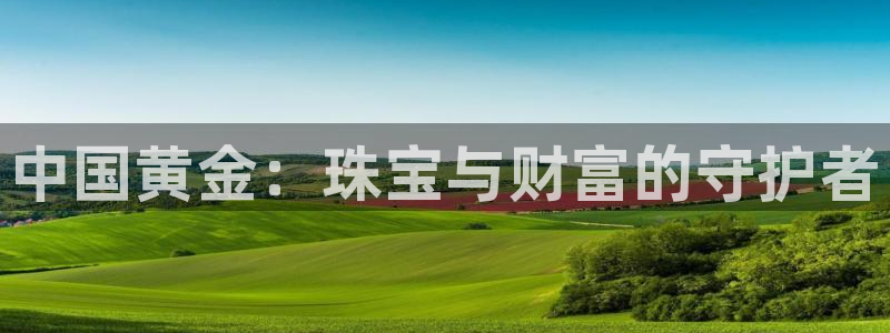 新宝5代理