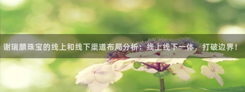 新宝5在哪里：谢瑞麟珠宝的线上和线下渠道布局分析：线上线下一体，打破边界！
